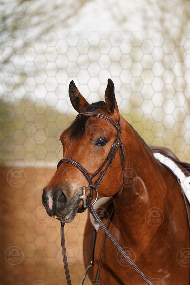 s_A9_01666.jpg
